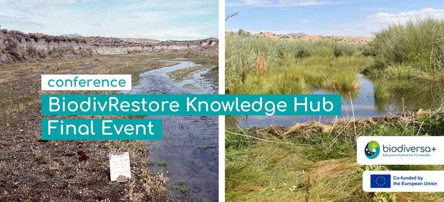 Conferencia final online del BiodivRestore Knowledge Hub