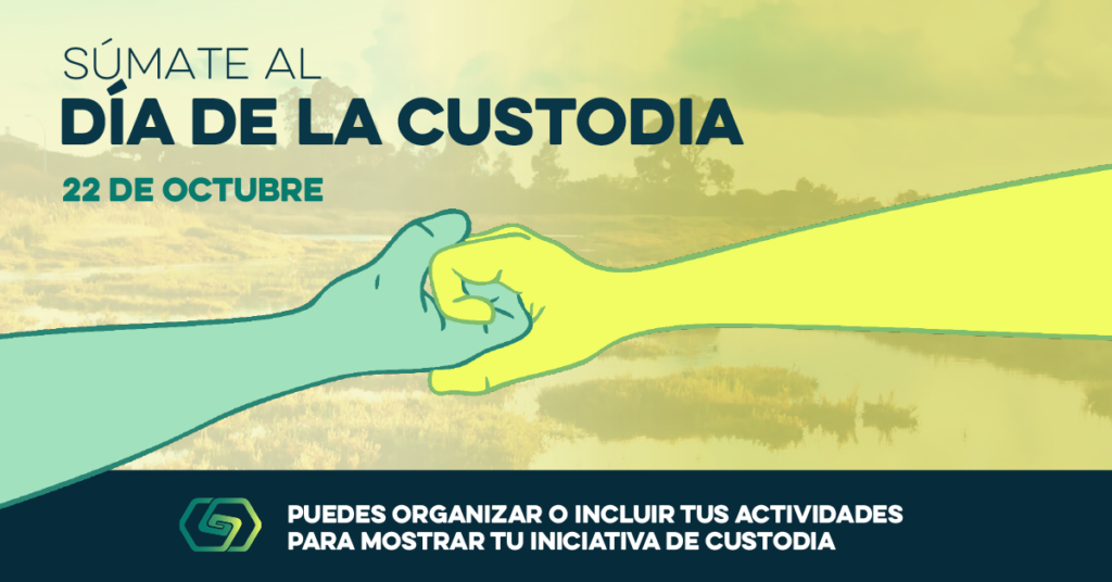 Día de la Custodia: 22 de octubre